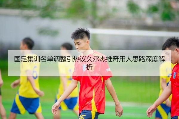 国足集训名单调整引热议久尔杰维奇用人思路深度解析 | MangoSports