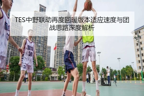 TES中野联动再度回暖版本适应速度与团战思路深度解析 | MangoSports
